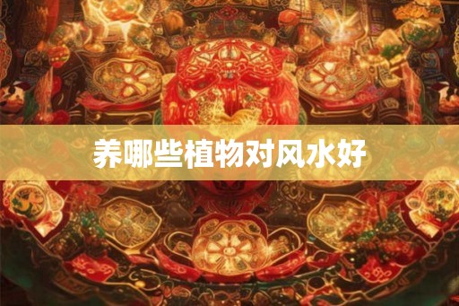 养哪些植物对风水好