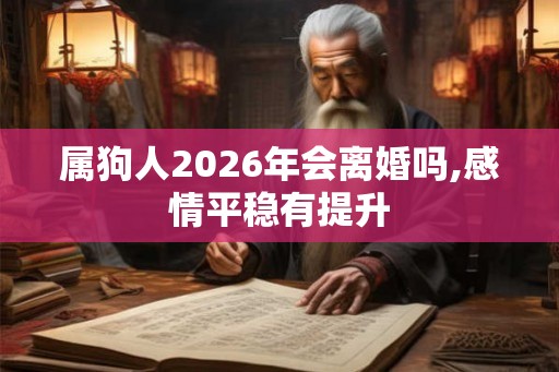 属狗人2026年会离婚吗,感情平稳有提升