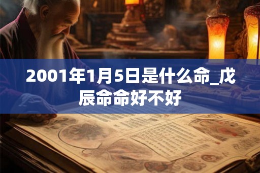 2001年1月5日是什么命_戊辰命命好不好