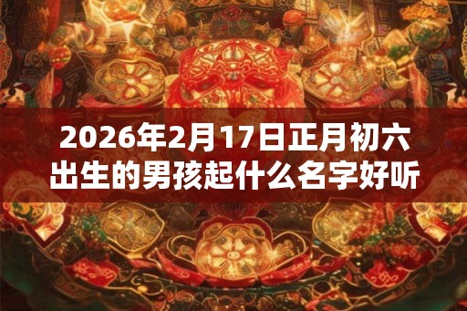 2026年2月17日正月初六出生的男孩起什么名字好听