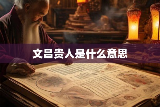 文昌贵人是什么意思