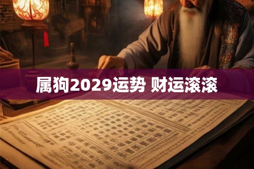 属狗2029运势 财运滚滚