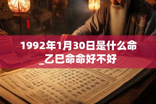 1992年1月30日是什么命_乙巳命命好不好