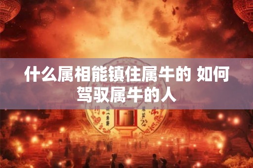 什么属相能镇住属牛的 如何驾驭属牛的人