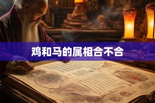 鸡和马的属相合不合