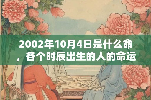 2002年10月4日是什么命，各个时辰出生的人的命运