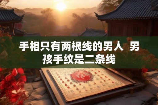 手相只有两根线的男人  男孩手纹是二条线