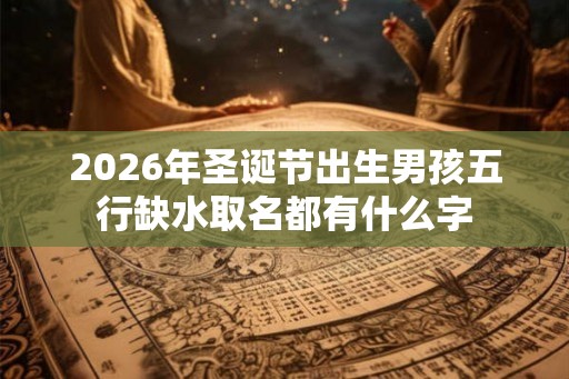 2026年圣诞节出生男孩五行缺水取名都有什么字