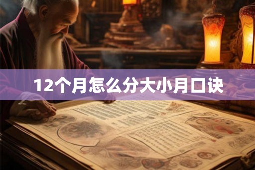 12个月怎么分大小月口诀