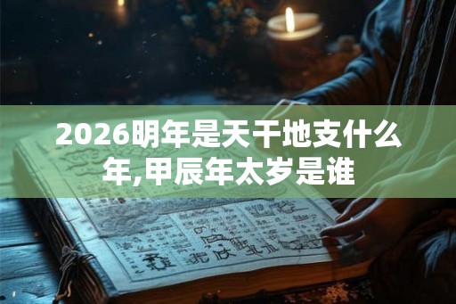 2026明年是天干地支什么年,甲辰年太岁是谁