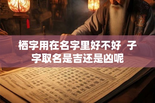 栖字用在名字里好不好  子字取名是吉还是凶呢