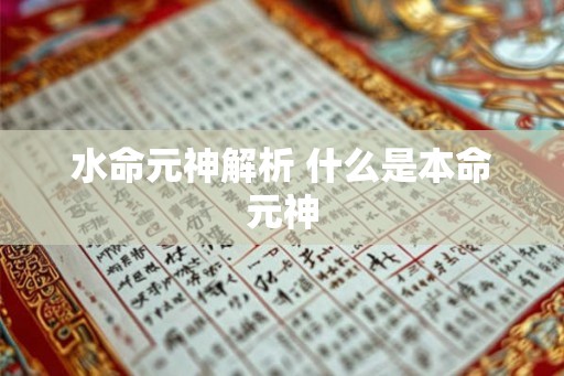 水命元神解析 什么是本命元神
