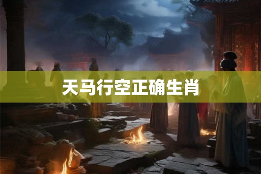 天马行空正确生肖