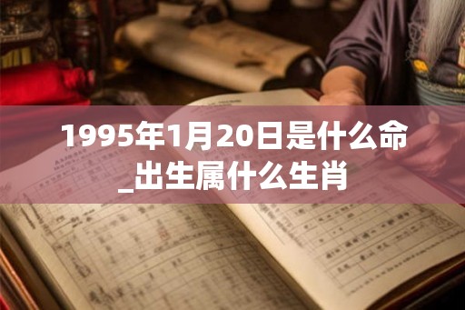1995年1月20日是什么命_出生属什么生肖 1995年1月20日是什么命_出生属什么生肖