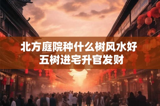北方庭院种什么树风水好  五树进宅升官发财