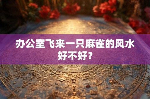 办公室飞来一只麻雀的风水好不好？