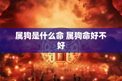 属狗是什么命 属狗命好不好
