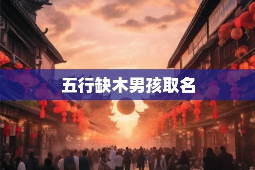 五行缺木男孩取名