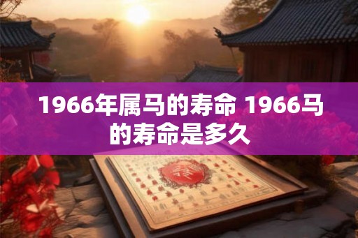 1966年属马的寿命 1966马的寿命是多久