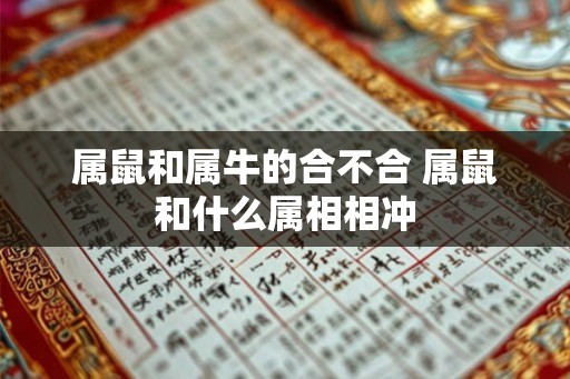 属鼠和属牛的合不合 属鼠和什么属相相冲
