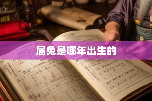 属兔是哪年出生的