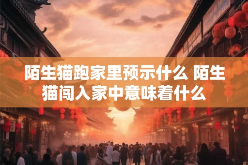 陌生猫跑家里预示什么 陌生猫闯入家中意味着什么