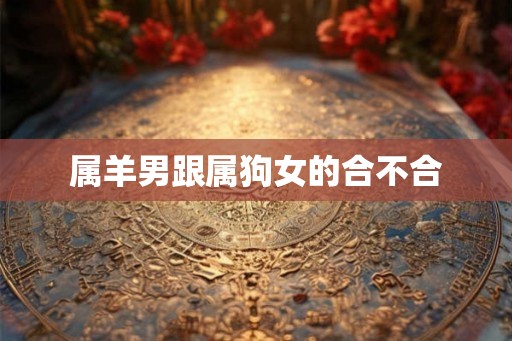 属羊男跟属狗女的合不合