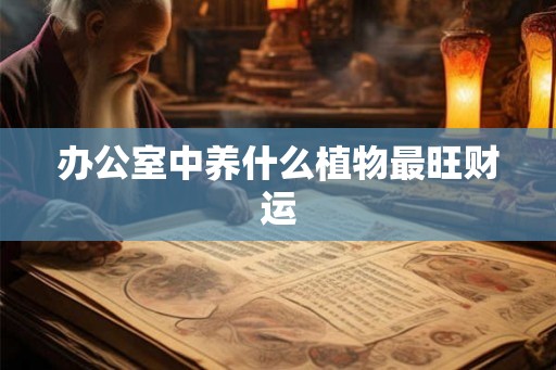办公室中养什么植物最旺财运