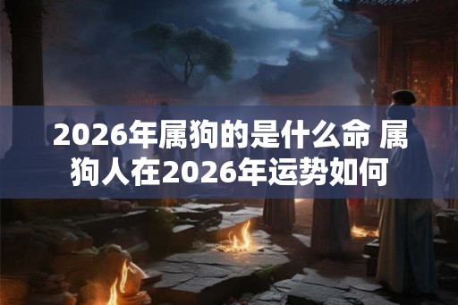 2026年属狗的是什么命 属狗人在2026年运势如何