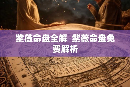 紫薇命盘全解  紫薇命盘免费解析