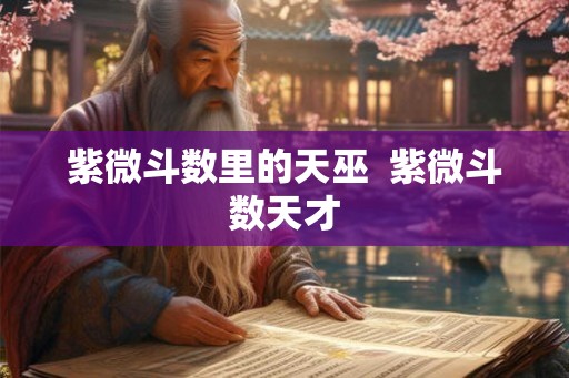 紫微斗数里的天巫 紫微斗数天才 紫微斗数里的天巫 紫微斗数天才