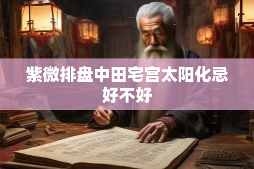 紫微排盘中田宅宫太阳化忌好不好