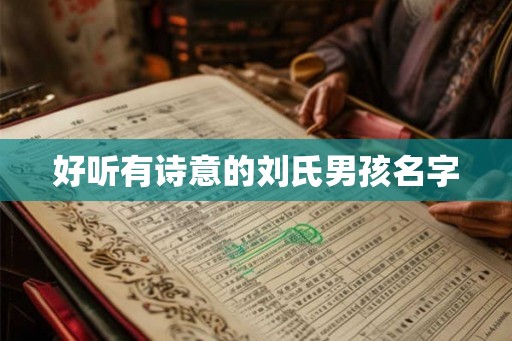 好听有诗意的刘氏男孩名字