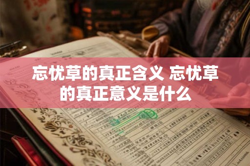 忘忧草的真正含义 忘忧草的真正意义是什么