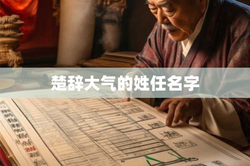 楚辞大气的姓任名字