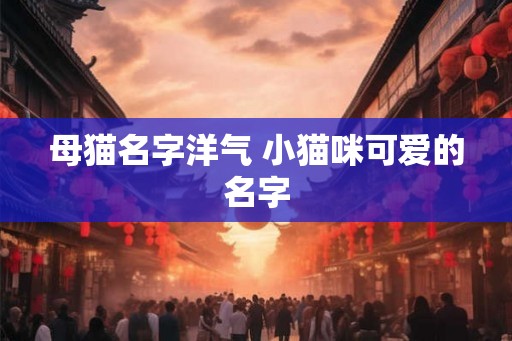 母猫名字洋气 小猫咪可爱的名字 母猫名字洋气 小猫咪可爱的名字