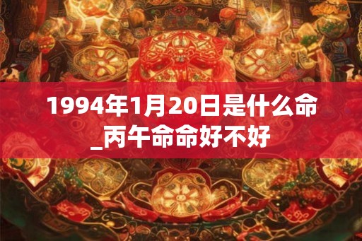 1994年1月20日是什么命_丙午命命好不好