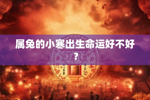 属兔的小寒出生命运好不好？