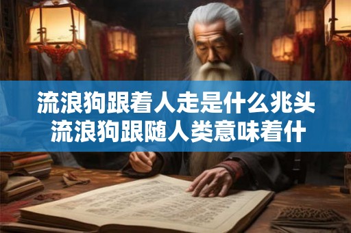 流浪狗跟着人走是什么兆头 流浪狗跟随人类意味着什么