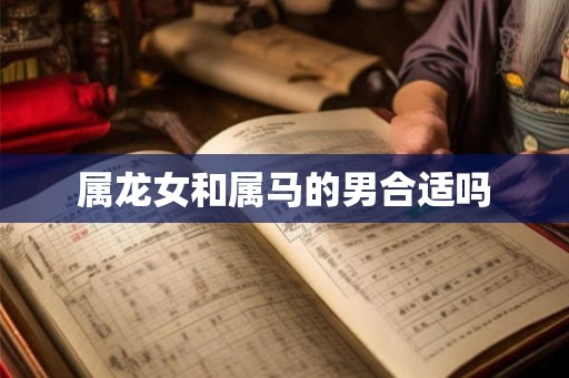 属龙女和属马的男合适吗