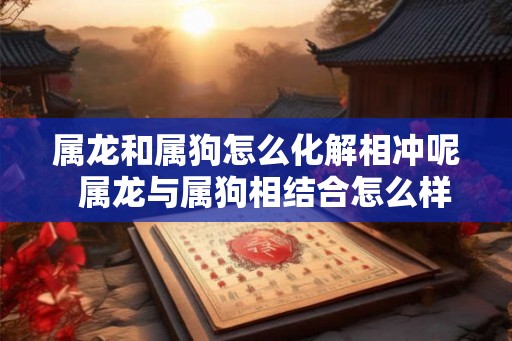 属龙和属狗怎么化解相冲呢  属龙与属狗相结合怎么样