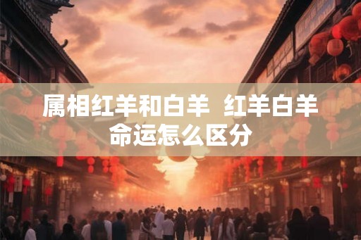 属相红羊和白羊 红羊白羊命运怎么区分 属相红羊和白羊 红羊白羊命运怎么区分