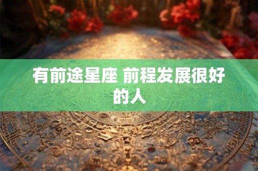 有前途星座 前程发展很好的人