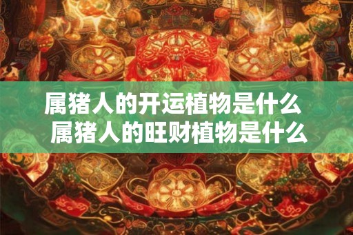 属猪人的开运植物是什么  属猪人的旺财植物是什么