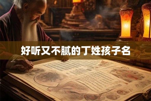 好听又不腻的丁姓孩子名