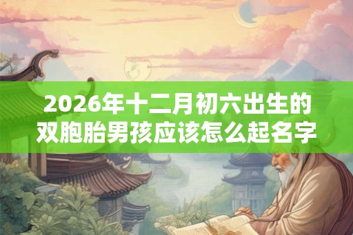 2026年十二月初六出生的双胞胎男孩应该怎么起名字,五行属什么 2026年十二月初六出生的双胞胎男孩应该怎么起名字,五行属什么