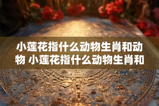 小莲花指什么动物生肖和动物 小莲花指什么动物生肖和动物图片