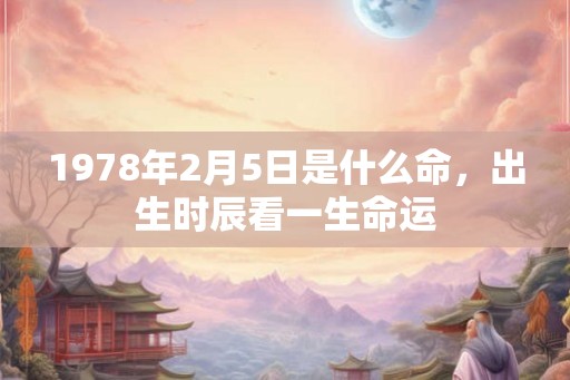 1978年2月5日是什么命，出生时辰看一生命运