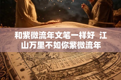 和紫微流年文笔一样好  江山万里不如你紫微流年
