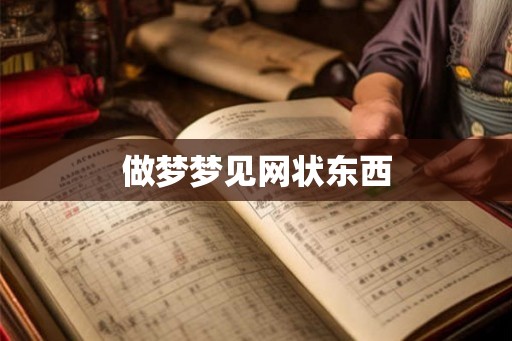 做梦梦见网状东西